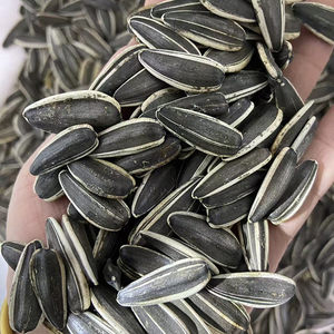 Semillas de Girasol Crudas Secas Comestibles, Venta al por Mayor en Bolsas de PP para Procesamiento de Alimentos - Product Image 1