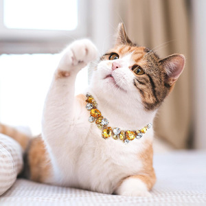 Kalung Kerah Hewan Peliharaan Bling Princess dengan Berlian Imitasi & Mutiara untuk Kucing Anjing - Sempurna untuk Pemotretan Pernikahan Ulang Tahun - Product Image 4