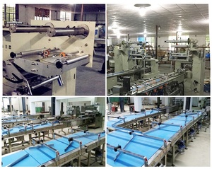 Automatic Horizontal Packing <strong>Flow</strong> Packing <strong>Wrapper</strong> <strong>Packaging</strong> <strong>Machines</strong> and Equipments - Product Image 2