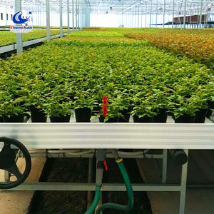 Tubo per Irrigazione Agricola con Testa Rotonda in Polietilene, Rotolo di Tubi per Irrigazione per <span class=keywords><strong>Serre</strong></span>, Fattorie e <span class=keywords><strong>Giardini</strong></span> - Product Image 6