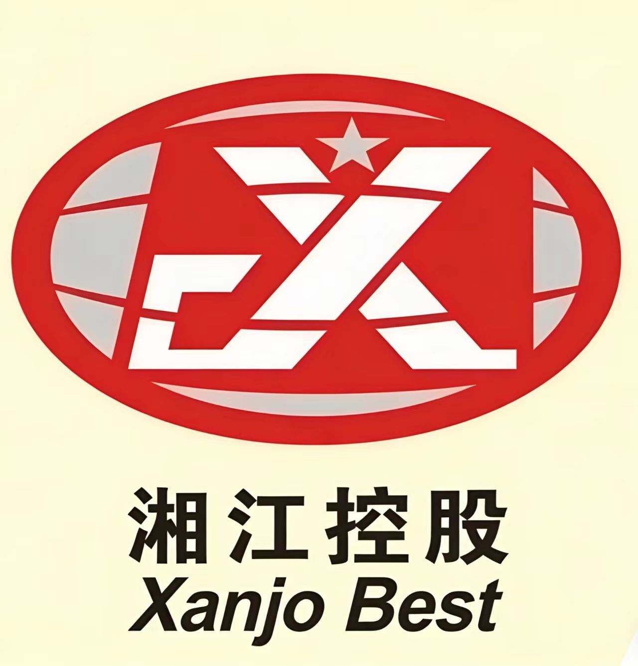 Dongguan Xiang Torch Precision Technology Co., Ltd. logo