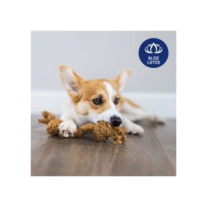 Juguete de Fibra de Coco para Perros, Alta Demanda, para Limpiar los Dientes - Product Image 6