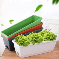 Jardinière de légumes en plastique rectangulaire de 50cm Pot de légumes rectangulaire Pot de plantation de fruits