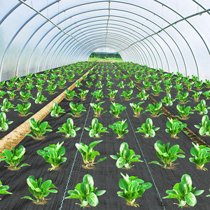 <span class=keywords><strong>CHAQ</strong></span> Venta al por mayor de tela de control de malezas Capa de plástico Estera de malezas agrícola de plástico Cubierta de suelo Tela de barrera de malezas - Product Image 4