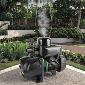 Jdw50 pompa acqua pozzo profondo prezzo di fabbrica fontana di aspirazione profonda figa pompa da giardino industriale a buon mercato sulla vendita all'ingrosso - Product Image 6