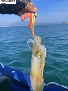 Amo da Pesca FUKUSHIMA Generazione 1 Misure 2.5 3.0 3.5 3S/M EGI JIG Luminoso Fosforescente che Affonda per Gamberi di Legno <span class=keywords><strong>Esche</strong></span> Luya per <span class=keywords><strong>Calamari</strong></span> - Product Image 4