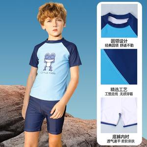 ชุดว่ายน้ำเด็ก ลายกบตัวน้อย ชุดว่ายน้ำเด็กผู้ชาย แห้งเร็ว ชุดสองชิ้น สีฟ้าทะเลสาบ สีขาว ไซส์เด็ก - Product Image 3