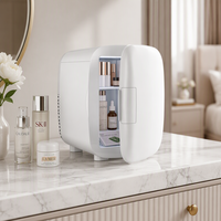 Mini-réfrigérateur de nouvelle conception, réfrigérateur à maquillage 4L pour boissons (6 canettes) et soins de la peau, petit réfrigérateur de beauté