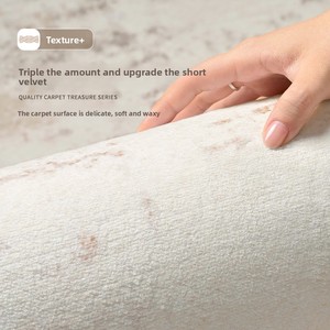 Tapis de salon italien minimaliste, luxe simple, sans lavage, nettoyable, compatible <span class=keywords><strong>aspirateur</strong></span>, pour chambre, canapé, couloir, 4m, fourrure - Product Image 5