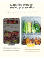 Sacs Ziplock Trois Couleurs pour Conservation Alimentaire, Qualité Alimentaire PE, Double Fermeture à Ribbons, Stockage Cuisine, Trois Tailles, Vente en Gros Direct Usine