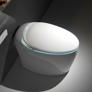 Egg Shaped All in One Fully Automatic Electric <strong>Bidet</strong> Smart Toilet with Remote Control for Home Use - Product Image 6