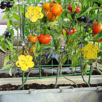 Pièges collants irréguliers personnalisés en gros, plaques anti-insectes de qualité commerciale pour serres, fermes et agriculteurs professionnels