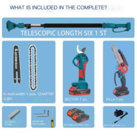 Ensemble combiné de scie à chaîne sans fil et de sécateur électrique BIYOTI BYT-X32 & BYT-106 2,2 m, kit d'outils de jardin 2 en 1 avec tige d'extension