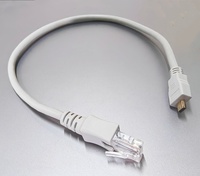 Câble personnalisé Micro vers RJ45 8p8c