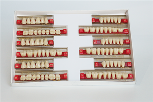 Dents en résine acrylique de qualité CE ISO, <span class=keywords><strong>prix</strong></span> <span class=keywords><strong>d</strong></span>'usine, dents en résine dentaire, dents synthétiques en résine pour prothèses complètes et partielles - Product Image 2