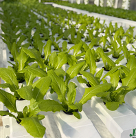 Système hydroponique NFT pour l'agriculture, canal en PVC, système de culture hydroponique économiseur d'eau, système de culture hydroponique pour semis, canal NFT de qualité alimentaire