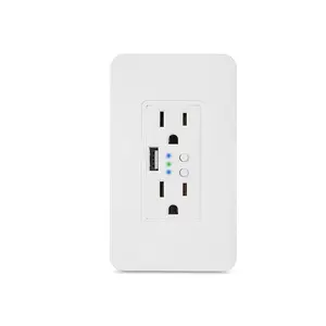 New TUYA Alexa USB interface 2 way Double US Power Plug Wall Outlet WiFi Smart Socket