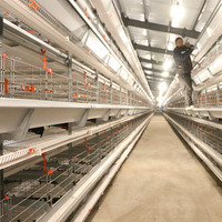 Système de cages en batterie de type H pour poules pondeuses, capacité 10 000 poulets, pour ferme avicole de 100 000 oiseaux