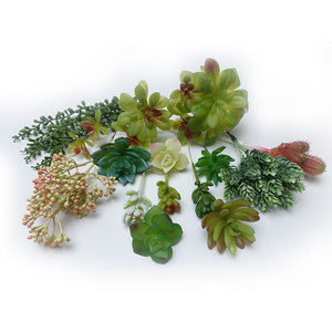 Fai da te artificiale Live <span class=keywords><strong>Mini</strong></span> Bonsai pianta <span class=keywords><strong>succulente</strong></span> piante <span class=keywords><strong>succulente</strong></span> artificiali con vasi assortimento <span class=keywords><strong>succulente</strong></span> artificiale <span class=keywords><strong>Mini</strong></span> - Product Image 2