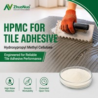 HPMC de qualité construction pour adhésif carrelage C1TE : Éther de cellulose à haute rétention d'eau et temps d'ouverture prolongé