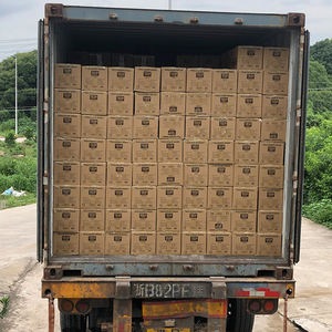 Nuevo motor marino fueraborda <span class=keywords><strong>de</strong></span> eje corto 6HP 139cc 4 tiempos Tipo 2 tiempos <span class=keywords><strong>Control</strong></span> <span class=keywords><strong>remoto</strong></span> combustible <span class=keywords><strong>de</strong></span> <span class=keywords><strong>gasolina</strong></span> eléctrica para la venta <span class=keywords><strong>barcos</strong></span> - Product Image 5