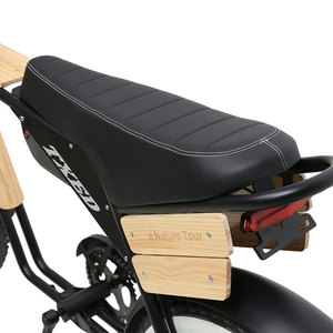 Bicicleta Eléctrica TXED con Motor de Cubo Trasero sin Escobillas de 48V/250W, Freno de Disco Mecánico de Aleación, Neumáticos Gruesos - Product Image 6
