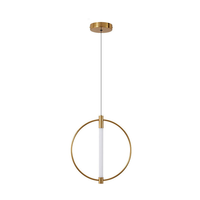 Lustres réglables en hauteur, lampes de chevet pour chambre à coucher, luminaires de bar, comptoir, salle à manger, en fer et acrylique, LED dimmable, taille moyenne