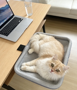Hamac pour chat à fixer <span class=keywords><strong>sur</strong></span> table de bureau, réglable en hauteur, gain de place, prix d'usine - Product Image 6