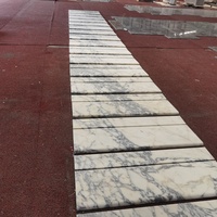 Direkt vom Hersteller: Calacatta Viola Marmor-Treppe, Natürliche Lila Geäderte Steinstufen, Polierte Kalkstein-Treppensteiger