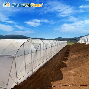 Khu vực nhiệt đới lớn Multi-span thép răng cưa thiết kế nhà kính cho nhà máy phát triển hệ thống thông gió với bộ phim nhựa đường hầm - Product Image 6