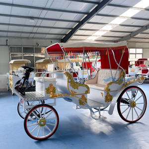 Carroza de Caballos Eléctrica para Bodas, Modelo Europeo, Popular en 2025, para Turismo y Paseos Turísticos, en Venta - Product Image 6