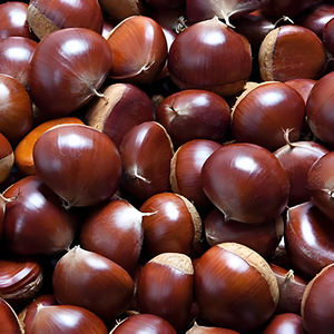 Prix usine poudre d'extrait de châtaigne chinoise extrait de châtaigne de cheval/poudre d'extrait de Castanea Mollissima/extrait de noisette - Product Image 2