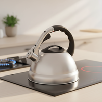 Bouilloire sifflante en acier inoxydable de 2,5 L avec poignée froide au toucher, pour tous les types de cuisinières, vente en gros d'usine