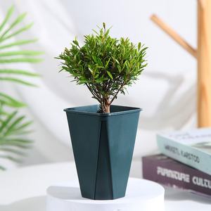 Vaso da taglio <span class=keywords><strong>in</strong></span> <span class=keywords><strong>plastica</strong></span> antiossidante da 9cm con Design classico <span class=keywords><strong>per</strong></span> piante da interno riutilizzabili e resistenti allo sbiadimento - Product Image 3