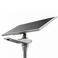 Lámpara Solar de Calle con Panel Solar Integrado, IP65 Impermeable, Alimentación CA, Aleación de Aluminio, Iluminación Exterior para Carreteras, Fabricante Chino