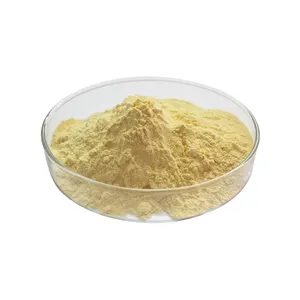 Polvo de Extracto de Jengibre con <span class=keywords><strong>6</strong></span>-<span class=keywords><strong>Gingerol</strong></span> Estándar al por Mayor - Product Image 1