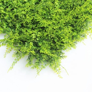 AMZ Panel de Pared de Césped Artificial de Madera de Boj, Hoja de Plástico Skyjade al Mejor <span class=keywords><strong>Precio</strong></span> para Decoración de Jardín, Pared de Cobertura, Aplicación - Product Image 5