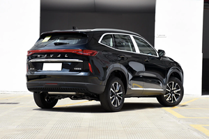 Haval H6 2025 Voiture à essence SUV Nouvelles voitures à essence chinoises 165 Km/h Voiture à essence Suv - Product Image 6