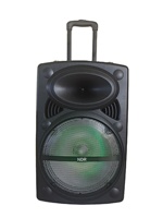 Altavoz de Karaoke NDR-12, Bafle Bluetooth, Haut-Parleur con Micrófono, Altavoz de Karaoke de 12 Pulgadas para Fiestas al Aire Libre con Micrófono y Bluetooth