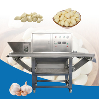 Uien- en knoflookverwerkingsapparatuur, schilmachine, knoflookschiller, knoflookteentjesseparator, knoflookschilmachine