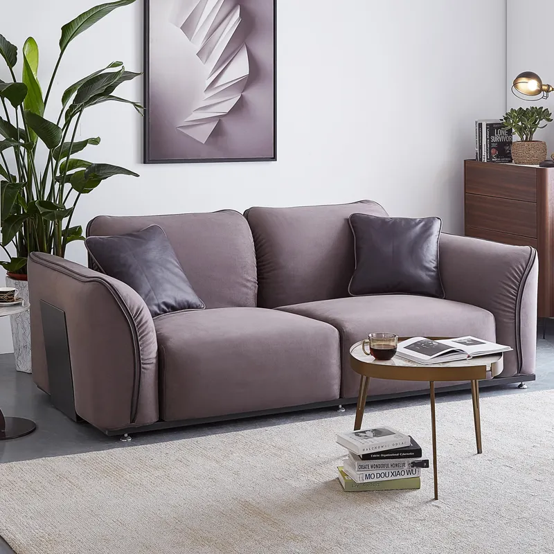 light luxury sofas living room furniture loveseat sofa 2 seater sofa