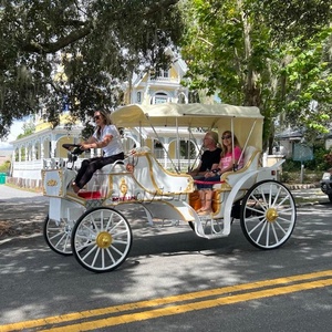 Limosina <span class=keywords><strong>elegante</strong></span>/de la boda de turismo Caballo Blanco transporte/de cuento de hadas Victoria transporte para la Iglesia. - Product Image 4
