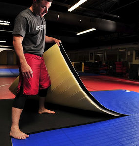 <span class=keywords><strong>Tapis</strong></span> de lutte pliable portable sur mesure en XPE épais avec revêtement en cuir PVC, <span class=keywords><strong>tapis</strong></span> de lutte approuvé pour le judo - Product Image 3