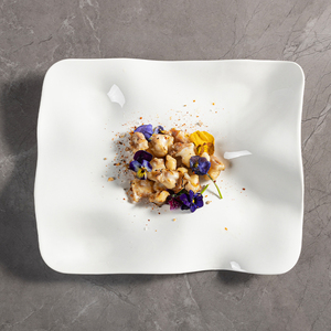 Innovador Nuevo Producto Villa Moderna Ideas de Lujo 2024 Suministro de Restaurante Creativo Platos <span class=keywords><strong>Japoneses</strong></span> Placa Rectangular - Product Image 4