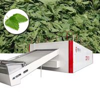 Hoogproductieve voedselverwerkings PLC-gestuurde fruitpulp-meshbanddroger tandwielkastlager automatische continue sinaasappelschil fruitdroger