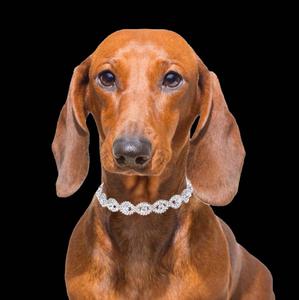 <span class=keywords><strong>Collar</strong></span> de cristal ajustable para perro, <span class=keywords><strong>Collar</strong></span> de lujo para cachorro, joyería para gato, Diamante con adornos ostentosos, diamantes de imitación - Product Image 5