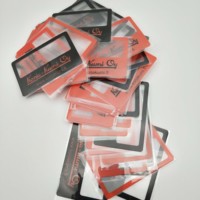 Customised Logo Magnifying Card Durable Portable PVC/Plastic Promotional Business Gifts for Wholesale
