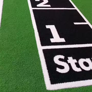 Natural <strong>Cheapest</strong> Landscaping Gym Fitness Carpet Gym <strong>Artificial</strong> <strong>Grass</strong> - Product Image 2