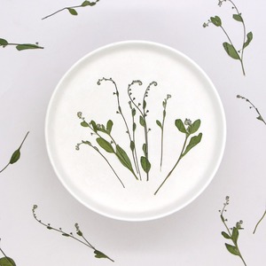 No olvides la hierba, <span class=keywords><strong>flores</strong></span> secas <span class=keywords><strong>silvestres</strong></span>, marco decorativo de heno, lámpara de escritorio, espécimen de planta en relieve - Product Image 1