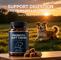 Friandises à Mâcher Probiotiques Premium pour Chiens – Soutien Digestif Avancé & Santé Intestinale – Poudre de Citrouille – Tous Âges – Durée de Conservation de 2 Ans
